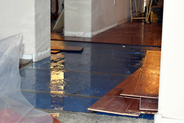Professional Burst Pipe Cleanup technician working in Dunkirk, NY