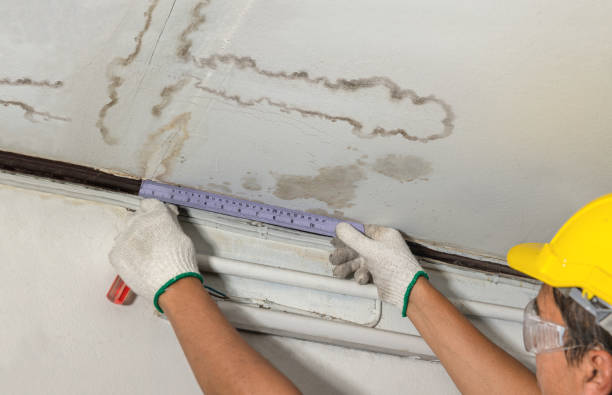 Reliable Burst Pipe Cleanup contractor in Dunkirk, NY by Water Damage Irwin